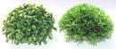 Augalas plastikinis Water ball 12cm